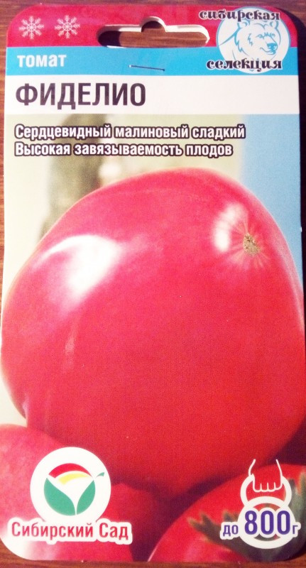 Фиделио томат описание и фото. Томат Фиделио. Помидоры Фиделио. Томат Фиделио 20шт.