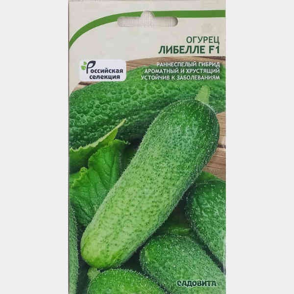 огурец либелле ф1. огурец либелле f1 описание отзывы. либела с ного либелла захватом. огурец либелле f1. огурцы либелле f1 описание.