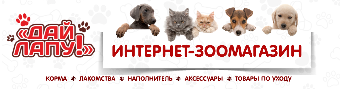 (COPY) Обложка сайта (1).png