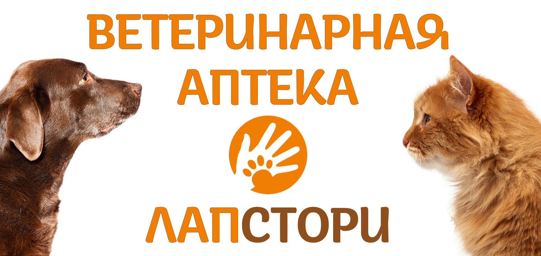 FpcSqhfaShA.jpg