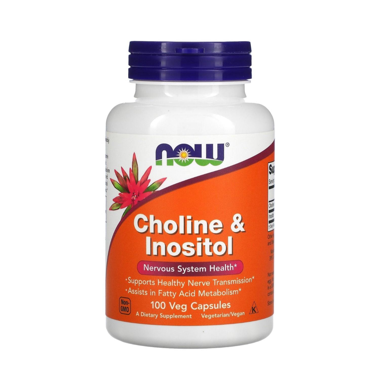 Купить NOW Choline & Inositol 100 капсул в Новосибирске с доставкой по ...