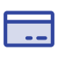 payIcon