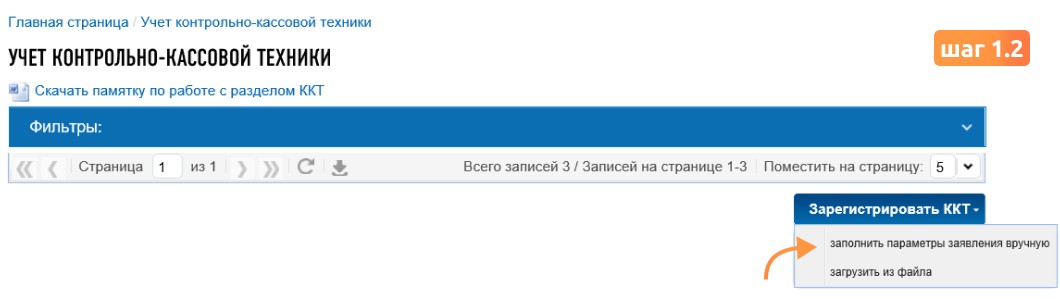 Заполнить параметры заявления вручную