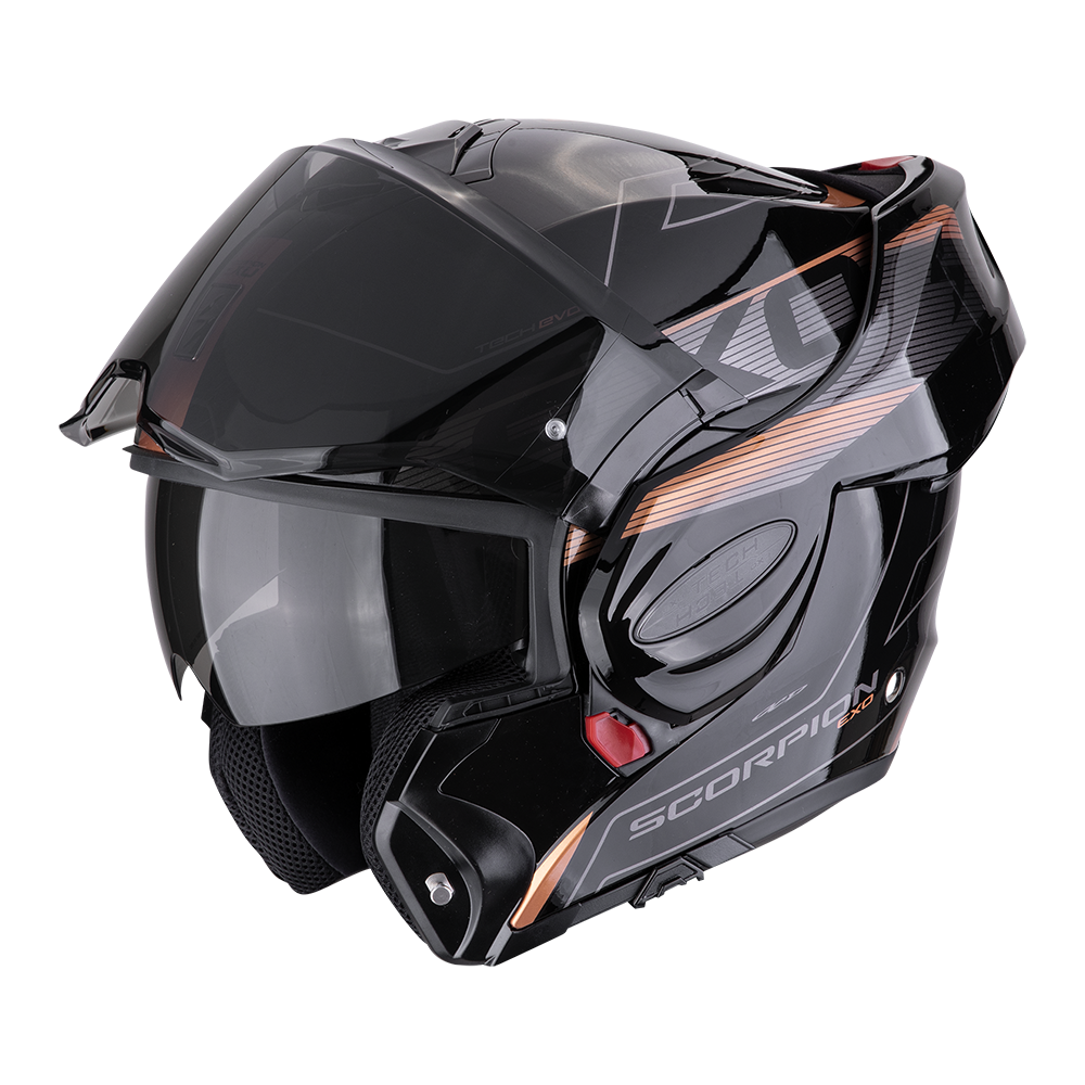 D_scorpionEXOTECHEVO_TRAVELLER_Cop_getstung.png